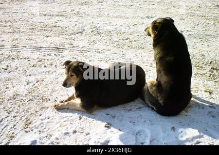 Ein paar alte Obdachlose, die auf dem Schnee ruhen, Winterlandschaft Stockfoto