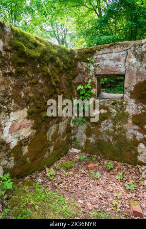 Ruinen der Kaymoor Mine Site im New River Gorge National Park und Preserve im südlichen West Virginia in den Appalachen, USA Stockfoto