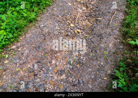 Ruinen der Kaymoor Mine Site im New River Gorge National Park und Preserve im südlichen West Virginia in den Appalachen, USA Stockfoto