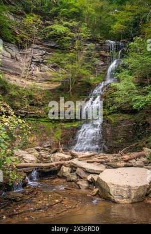 Cathedral Falls, New River Gorge National Park & Preserve in Gauley Bridge, West Virginia, USA Stockfoto