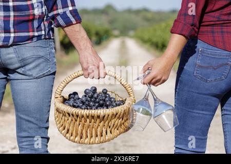 Paar und Weingläser gegen Weinberge Stockfoto