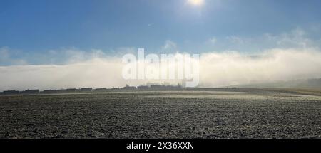 Nebellandschaft, Nebelwand im Winter in Taunusstein in Hessen. Nebellandschaft, Nebelwand im Winter in Taunusstein in Hessen Nebellandschaft, Nebelwa Stockfoto