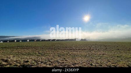 Nebellandschaft, Nebelwand im Winter in Taunusstein in Hessen. Nebellandschaft, Nebelwand im Winter in Taunusstein in Hessen Nebellandschaft, Nebelwa Stockfoto