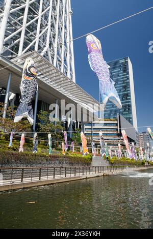 Bunte Karpfenbanner (Koinobori) sind am 25. April 2024 in Tokio zu sehen. Jedes Jahr schmückt der Tokyo Skytree mit farbenfrohen Koinobori-Streamern, um den Kindertag in Japan zu feiern. In Japan beten Familien mit Jungen für das gesunde Wachstum und das Wohlbefinden ihrer Kinder. Der Kindertag wird am 5. Mai gefeiert. Quelle: Rodrigo Reyes Marin/AFLO/Alamy Live News Stockfoto