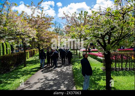 April, Lisse. Keukenhof ist auch bekannt als der Garten Europas, einer der größten Blumengärten der Welt und liegt in Lisse, Niederlande. Zusätzlich zu den Millionen von Tulpen, Narzissen und Hyazinthen im Park sind die Blumenshows in den Pavillons größer und schöner geworden. Stockfoto