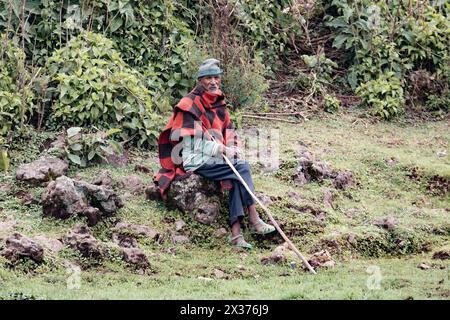 TILILI, ÄTHIOPIEN, 20. APRIL 2019. Porträt von äthiopischen Mannherden ausgemergelte Kühe. Tilili, Region Amhara Äthiopien, 20. April. 2019 Stockfoto