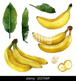 Reife Bananen in Aquarellfarben mit Bananen, Bananenblättern und in Scheiben geschnittenen Bananen Stockfoto