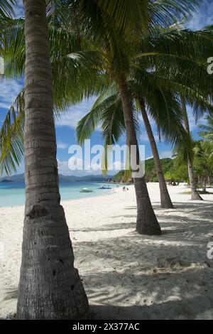 Malcapuya Island ist ein Touristenziel in Palawan, Philippinen. Es ist eine kleine Insel mit hohen Kokospalmen und weißem Sandstrand Stockfoto