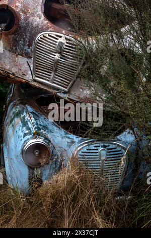 Verlassene Austin A30 Autos auf dem Schrottplatz „Crash Palace“, Horopito, Waimarino, Nordinsel, Neuseeland Stockfoto