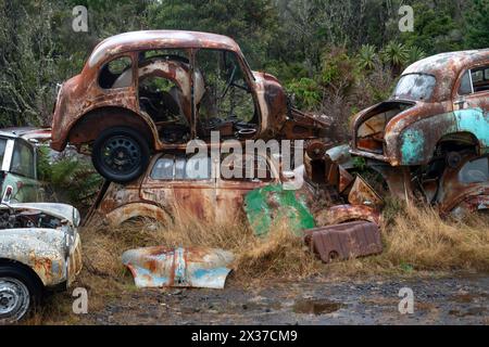 Verlassene Fahrzeuge auf dem Schrottplatz „Crash Palace“, Horopito, Waimarino, Nordinsel, Neuseeland Stockfoto