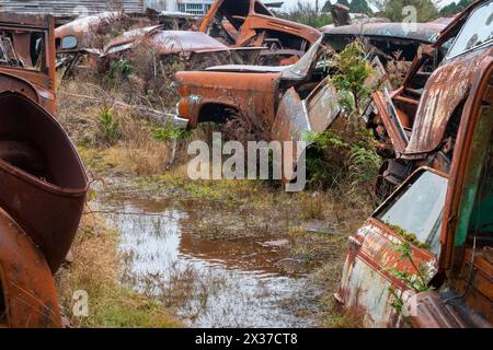 Verlassene Fahrzeuge auf dem Schrottplatz „Crash Palace“, Horopito, Waimarino, Nordinsel, Neuseeland Stockfoto