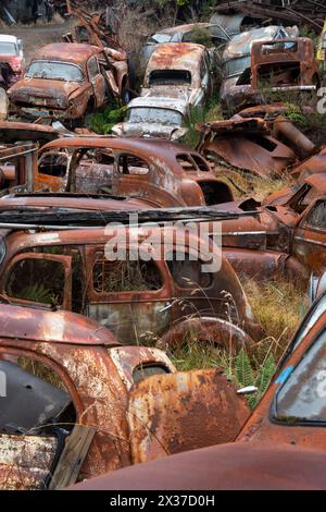 Verlassene Fahrzeuge auf dem Schrottplatz „Crash Palace“, Horopito, Waimarino, Nordinsel, Neuseeland Stockfoto