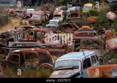 Verlassene Fahrzeuge auf dem Schrottplatz „Crash Palace“, Horopito, Waimarino, Nordinsel, Neuseeland Stockfoto