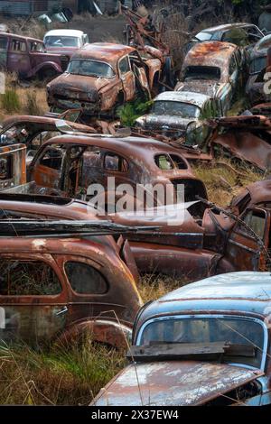 Verlassene Fahrzeuge auf dem Schrottplatz „Crash Palace“, Horopito, Waimarino, Nordinsel, Neuseeland Stockfoto