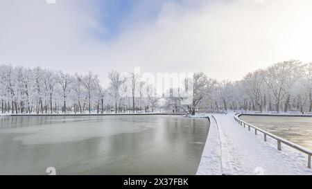 Gefrorener See in einem verschneiten Winterpark mit gefrorenen Bäumen und weichem bewölktem Himmel. Kaltes saisonales Landschaftspanorama. Idyllische Natur friedliche weiße Outdoor-Ruhe Stockfoto