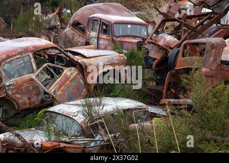 Verlassene Fahrzeuge auf dem Schrottplatz „Crash Palace“, Horopito, Waimarino, Nordinsel, Neuseeland Stockfoto