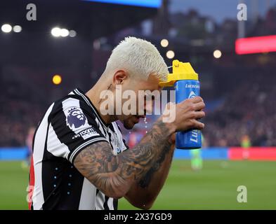 London, Großbritannien. April 2024. Bruno Guimaraes aus Newcastle United während des Premier League Spiels im Selhurst Park, London. Der Bildnachweis sollte lauten: David Klein/Sportimage Credit: Sportimage Ltd/Alamy Live News Stockfoto