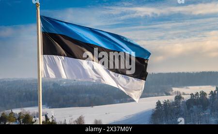 Die Fahne von Estland flattert im Wind Stockfoto