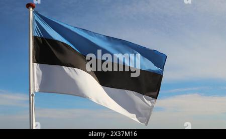 Die Fahne von Estland flattert im Wind Stockfoto