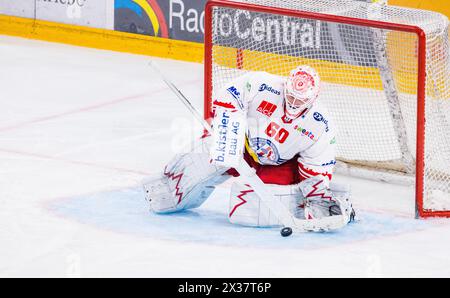 SC Rapperswil-Jona Lakers Torhüter #60 Melvin Nyffeler stoppt, während dem Playoff Viertefinalspiel gegen den EV Zug in der Bossard Arena, den Puck. ( Stockfoto