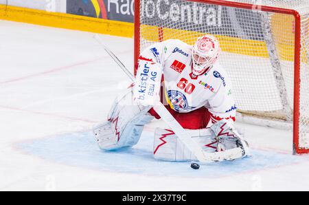SC Rapperswil-Jona Lakers Torhüter #60 Melvin Nyffeler stoppt, während dem Playoff Viertefinalspiel gegen den EV Zug in der Bossard Arena, den Puck. ( Stockfoto