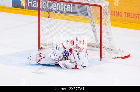 SC Rapperswil-Jona Lakers Torhüter #60 Melvin Nyffeler sieht nach einem Gegentor, während dem Playoff Viertelfinalspiel gegen den EV Zug in der Bossar Stockfoto