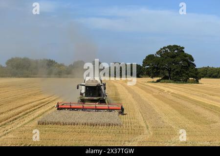 Aktenfoto vom 09/14 eines Landwirts, der die letzte seiner Weizen auf seinem Bauernhof erntet. Nach Angaben des Zentralen Statistischen Amtes ist die Erzeugung von drei wichtigsten Getreidearten - Weizen, Gerste und Hafer - in Irland 2023 gegenüber dem Vorjahr um ein Fünftel zurückgegangen. Ausgabedatum: Donnerstag, 25. April 2024. Stockfoto