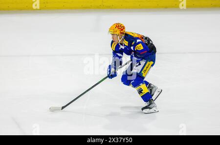 EHC Kloten Stürmer und Topskorer Jonathan Ang während dem Spiel gegen den SCL Tigers in der Stimon Arena in Aktion. (Kloten, Schweiz, 14.10.2022) Stockfoto