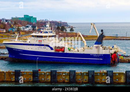 Northern Osprey III im Hafen von North Sydney - Variationen Stockfoto