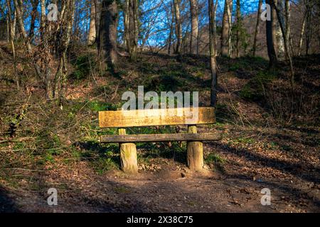 Eine leere Bank im Sonnenlicht bietet einen ruhigen Ort für eine ruhige Nachsicht inmitten der ruhigen Schönheit des Waldes. Stockfoto