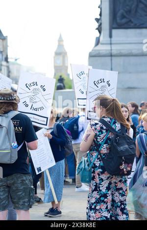 Trafalgar Square in London. Stockfoto