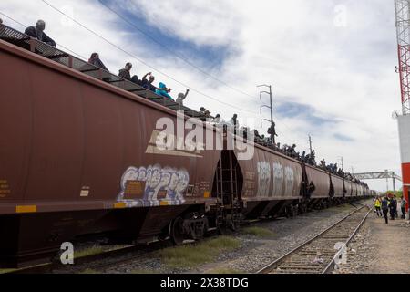 24. April 2024: Fast 700 Migranten kamen in Ciudad Juarez an Bord des als „La Bestia“ bekannten Zuges an und wollten in Richtung Rio Grande fahren, um die Grenze zu überqueren. Nach dem Treffen mit der texanischen Nationalgarde entschieden sich die Migranten jedoch, die Nacht auf mexikanischem Boden zu verbringen (Credit Image: © David Peinado/ZUMA Press Wire). Nicht für kommerzielle ZWECKE! Stockfoto