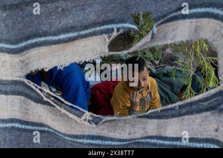 24. April 2024: Fast 700 Migranten kamen in Ciudad Juarez an Bord des als „La Bestia“ bekannten Zuges an und wollten in Richtung Rio Grande fahren, um die Grenze zu überqueren. Nach dem Treffen mit der texanischen Nationalgarde entschieden sich die Migranten jedoch, die Nacht auf mexikanischem Boden zu verbringen (Credit Image: © David Peinado/ZUMA Press Wire). Nicht für kommerzielle ZWECKE! Stockfoto