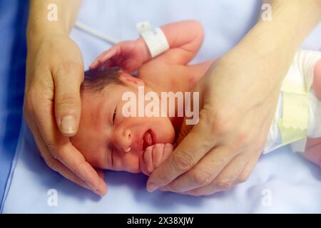 Inkubator, medizinische Versorgung, Neugeborenen-Intensivstation, ICU, Hospital Donostia, San Sebastian, Gipuzkoa, Baskenland, Spanien Stockfoto