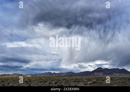 Storm Clouds over Ash Meadows National Wildlife Refuge im Amargosa Valley im Südwesten von Nevada, östlich des Death Valley National Park. Stockfoto