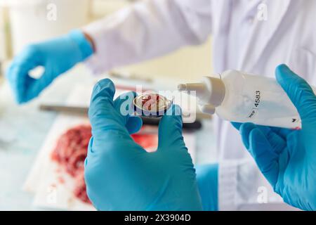 Makros-Bereich, Schnitzen, Probenauswahl von Schilddrüsengewebe, Anatomische Pathologie, Krankenhaus Donostia, San Sebastian, Gipuzkoa, Baskenland, Spanien Stockfoto