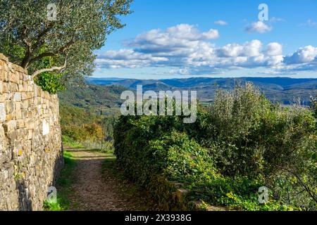 Blick von Groznjan Kroatien ein wunderschönes Dorf auf einem Hügel mit Hügeln und Bergen um es herum. Stockfoto