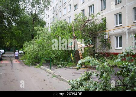 Großer umgestürzter Baum nach Sturm in der Nähe eines grauen Wohngebäudes in Moskau, Russland Stockfoto