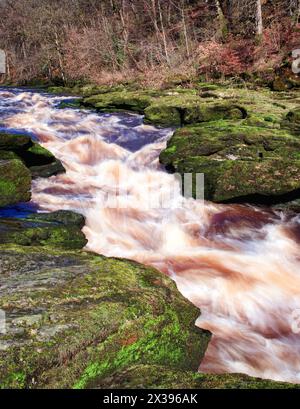 Eine abstrakte Ansicht, die die Farben des Strid zeigt, Teil des River Wharfe in Bolton Abbey, Yorkshire Dales, Großbritannien Stockfoto