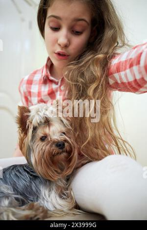 Mädchen sitzt mit yorkshire Terrier auf dem Boden im Zimmer. Stockfoto