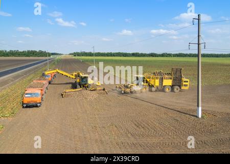 REGION KRASNODAR, RUSSLAND - 19. August 2015: Maschinenladungen von Zuckerrüben in orangen LKW und Erntemaschine kommen an, im Jahr 2015 in der Region Krasnodar haben gesammelt Stockfoto