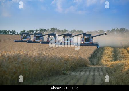 REGION KRASNODAR, RUSSLAND - 6. JUL 2015: Moderne Ernte-Feld, 2015 in der Region Krasnodar haben Rekordgetreideernte von 102 Millionen gesammelt Stockfoto