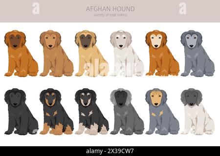 Afghanischer Hund Hündchen in allen Farben Clipart. Verschiedene Beschichtungsfarben eingestellt. Vektorabbildung Stock Vektor