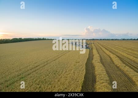 REGION KRASNODAR, RUSSLAND - 6. JUL 2015: Fünf moderne Erntemaschinen ernten am Abend, 2015 in der Region Krasnodar haben rekordkornharz gesammelt Stockfoto