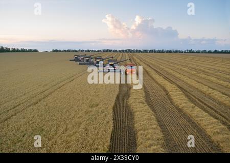 REGION KRASNODAR, RUSSLAND - 6. JUL 2015: Moderne Erntemaschinen ernten Weizenfeld, 2015 in der Region Krasnodar eine Rekordernte von 102 m Stockfoto