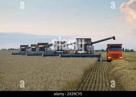 REGION KRASNODAR, RUSSLAND - 6. JUL 2015: Moderne Erntemaschinen und Lkw-Erntefelder haben 2015 in der Region Krasnodar eine Rekordkornernte gesammelt - 1 Stockfoto