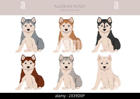 Alaska Husky Hündchen Clipart. Verschiedene Posen, Fellfarben gesetzt. Vektorabbildung Stock Vektor