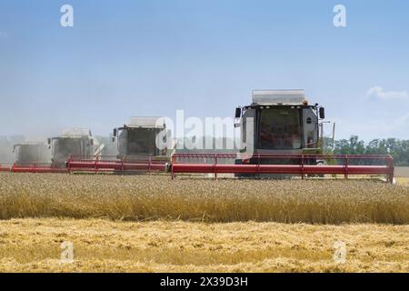 REGION KRASNODAR, RUSSLAND - 7. Juli 2015: Erntemaschinen ernten gelbes Weizenfeld, 2015 in der Region Krasnodar haben Rekordgetreideernte von 102 m gesammelt Stockfoto