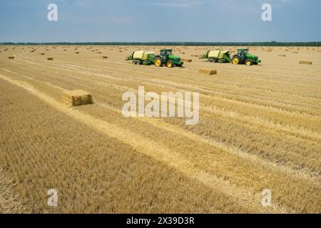 REGION KRASNODAR, RUSSLAND - 7. Juli 2015: Traktoren stellen nach der Ernte Strohgepresste Steine auf dem Feld her, 2015 in der Region Krasnodar einen Rekord Stockfoto