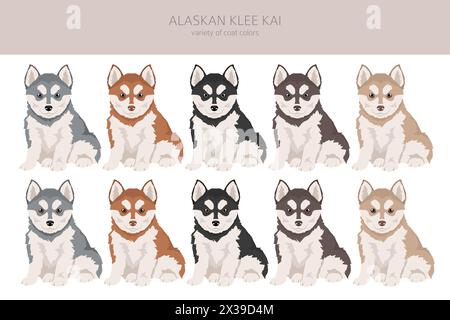 Alaskan Klee Kai Hündchen in allen Farben Clipart. Verschiedene Beschichtungsfarben eingestellt. Vektorabbildung Stock Vektor